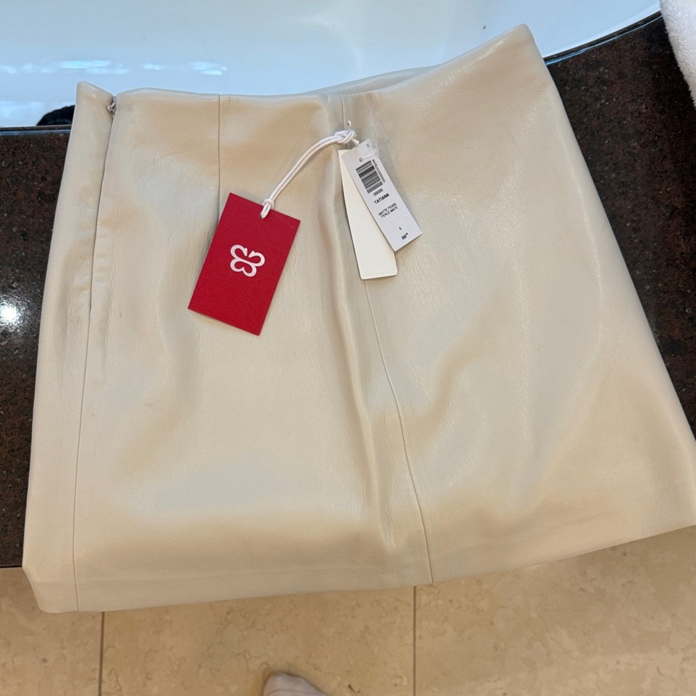 Aritzia Tatiana skirt 4